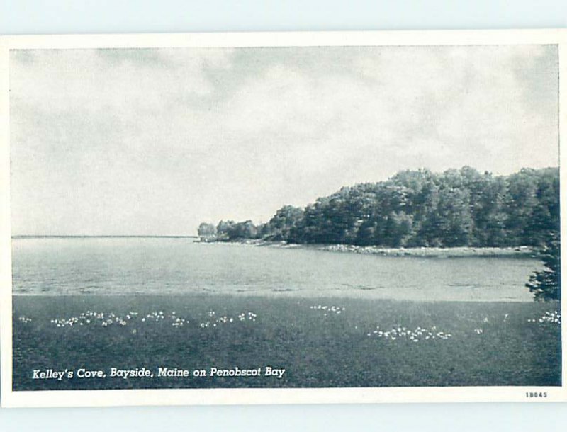 1940's NATURE Bayside At East Northport - Near Belfast & Lincolnville ME AD3538