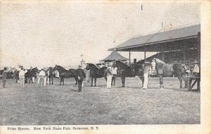 Prize Horses New York State Fair Fair Unused 