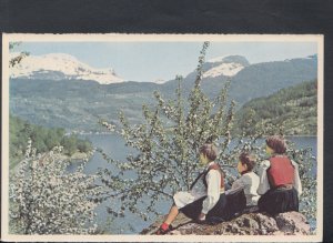 Norway Postcard - View of Ulvik    T8427