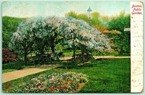 Public Garden Boston Massachusetts MA 1907 DB Postcard I5