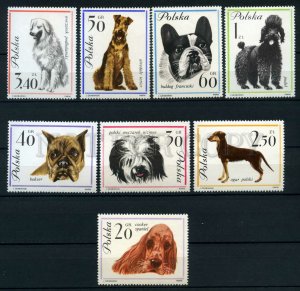 008898 DOG POLAND set 1963 year MNH #8898