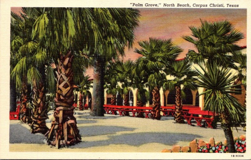 Texas Corpus Christi North Beach Palm Grove Curteich