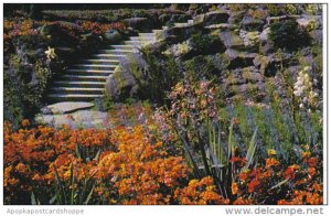 Canada Queen Elizabeth Park Rockery Vancouver British Columbia