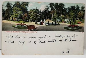 Altoona Pennsylvania A View Lakemont Park 1906 Postcard C3