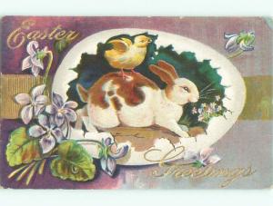 Divided-Back EASTER BUNNY RABBIT SCENE Cute Postcard AA1145