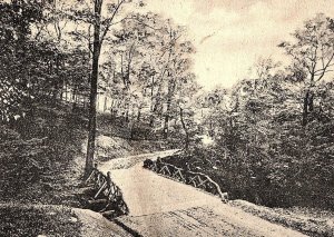 C.1900 Bridal Bridge, Schenley Park, Pittsburgh, PA. Postcard P123