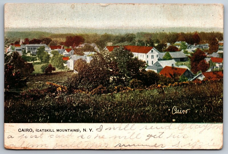 Vintage Postcard Residence Houses Trees Cairo Catskill Mountains New