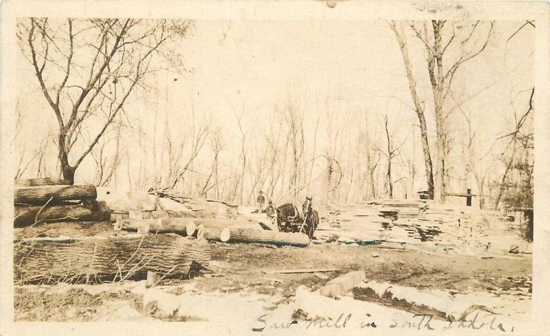 Postcard RPPC South Dakota Logging Lumber Sawmill C-1910 23-2304