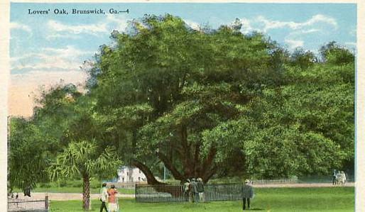 GA - Brunswick, Lovers' Oak