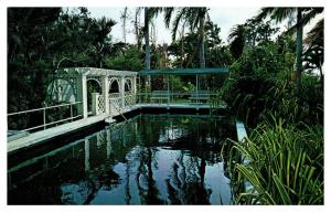 postcard Edison's Swimming Pool, Thomas Edison, Fort Myers, Florida