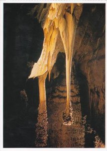 New Mexico Carlsbad Caverns The Lion's Tail