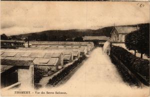 CPA THOMERY - Vue des Serres Salomon (638881)