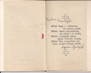 EMBROIDERED Polish Christmas Card, Poland, Pointsettia Flower, Hand Work 1930's?