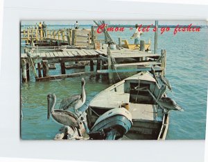 Postcard C'mon Let's Go Fishin' Pelicans on a Boat by the Docks