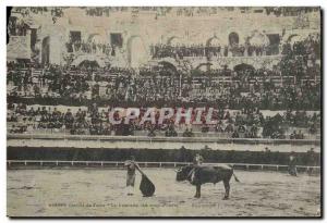Old Postcard Bullfight Bullfight Nimes Corrida de toros The estocada The coup...