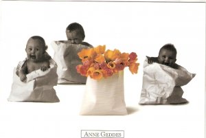 Anne Geddes. Three babiers and flowers in bags .  Classico San Francisco PC #