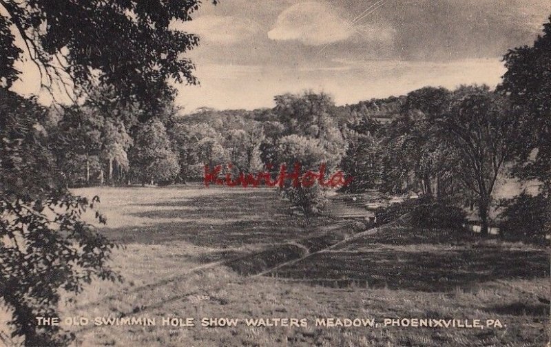 Postcard Old Swimming Hole Show Walters Meadow Phoenixville PA