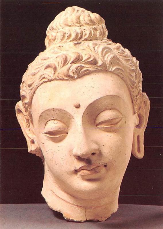 Head of the Buddha - Lime Plaster