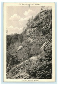 Cliff at Natural Park Muskoka Ontario Canada Vintage Antique Postcard