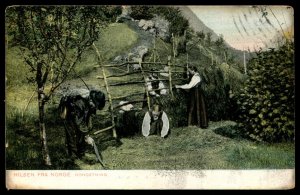 Hilsen fra Norge. Greetings from Norway. Norwegian Haymaking 1909