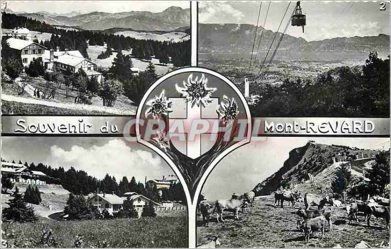 Modern Postcard Souvenir of Mount Rivard