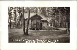 Cross or Gross Lake MN White Forest Lodge Real Photo Postcard