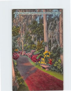 Postcard Main Trail Through Cypress Gardens in Sunny Florida