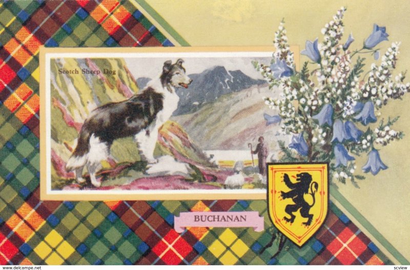 Scotch Sheep Dog & BUCHANAN Tarton , Scotland , 1920-30s