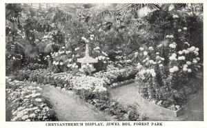 Vintage Postcard Chrysanthemum Display Jewel Box Forest Park St. Louis Missouri