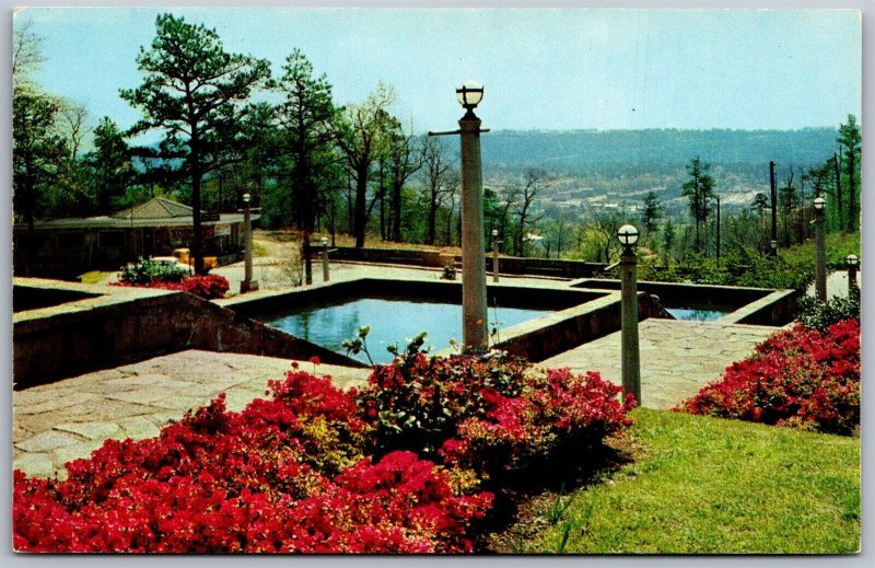 Vtg Birmingham Alabama AL Azaleas in Bloom Vulcan Park Reflecting Pool Postcard