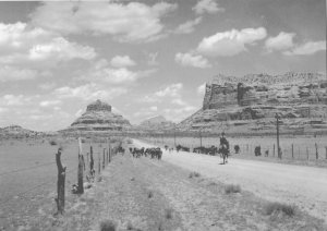 Bell Rock & Cattle Drive 1956 Village of Oak Creek Sedona Arizona 4 by 6