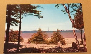 VINTAGE UNUSED POSTCARD STRAITS OF  MACKINAC BRIDGE, MICHIGAN