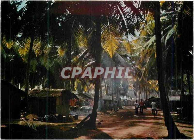 Modern Postcard Republic of Cote d'Ivoire under the Village Coconut