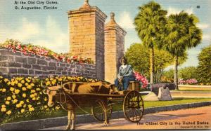 Florida St Augustine Ox Drawn Cart At The Old City Gates