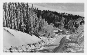 BG23597 wintermorgen   friedrichroda thur  germany CPSM 14x9cm