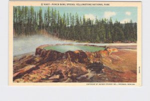 VINTAGE POSTCARD NATIONAL STATE PARK YELLOWSTONE PUNCH BOWL SPRING #3