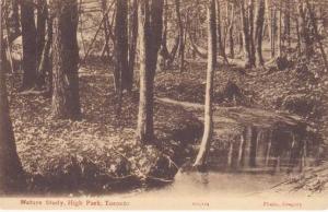 Nature Study at High Park Toronto ON Ontario Canada DB
