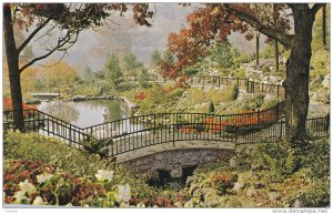 Beautiful Gardens and Bridges, HIgh Park, TORONTO, Ontario, Canada, 40-60s