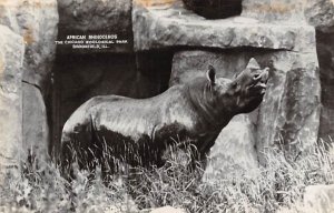 African Rhinoceros Brookfield, Ill, USA, real photo Rhinoceros Unused 