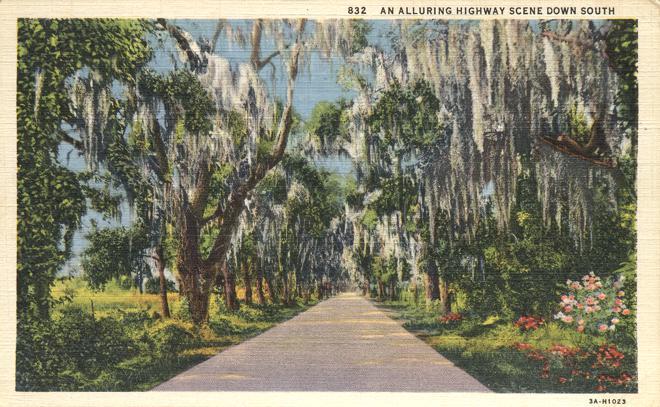 Alluring Highway Scene Down South - Dixieland - Linen