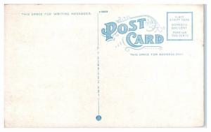 Chapel Street looking East, New Haven, CT Capitol Lunch Postcard