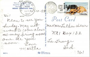 Fort Wayne Indiana Cancel c1983 Postcard 13c Dog Cat Stamp Postcard Cancel WOB 