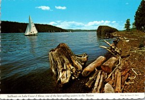 Idaho Lake Coeur d'Alene Sailboats