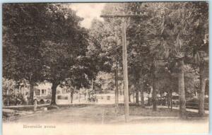 JACKSONVILLE, Florida FL~RIVERSIDE AVENUE Street Scene  c1900s UDB Rust Postcard