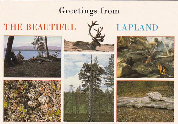 Finland Greetings From The Beautiful Lapland