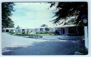 NATCHEZ, Mississippi MS ~ Roadside McNEELY'S MOTOR COURT Motel c1960s Postcard