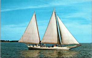 Vtg Edna E Lockwood Sailboat Chesapeake Bay Maritime Museum Postcard