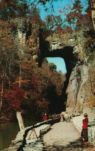 Natural Bridge Seven Natural Wonders of the World  Lee Highway Vintage Postcard