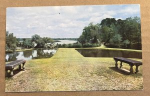 UNUSED POSTCARD - MIDDLETON GARDENS, CHARLESTON, S.C.