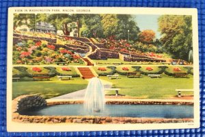 Vintage 1943 View in Washington Park & Gardens Macon GA Postcard